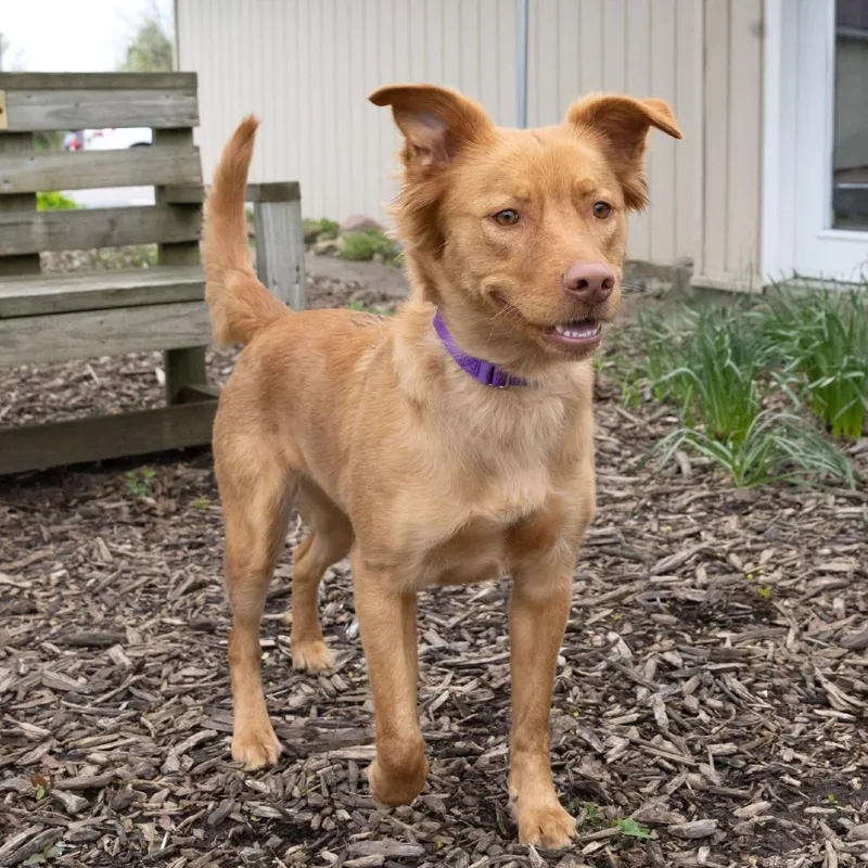 Francine thumbnail 6