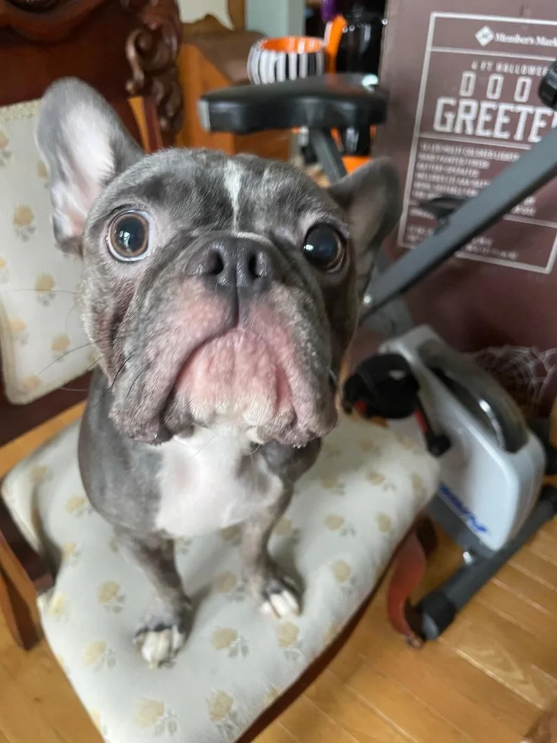 Charlie in MO thumbnail 2