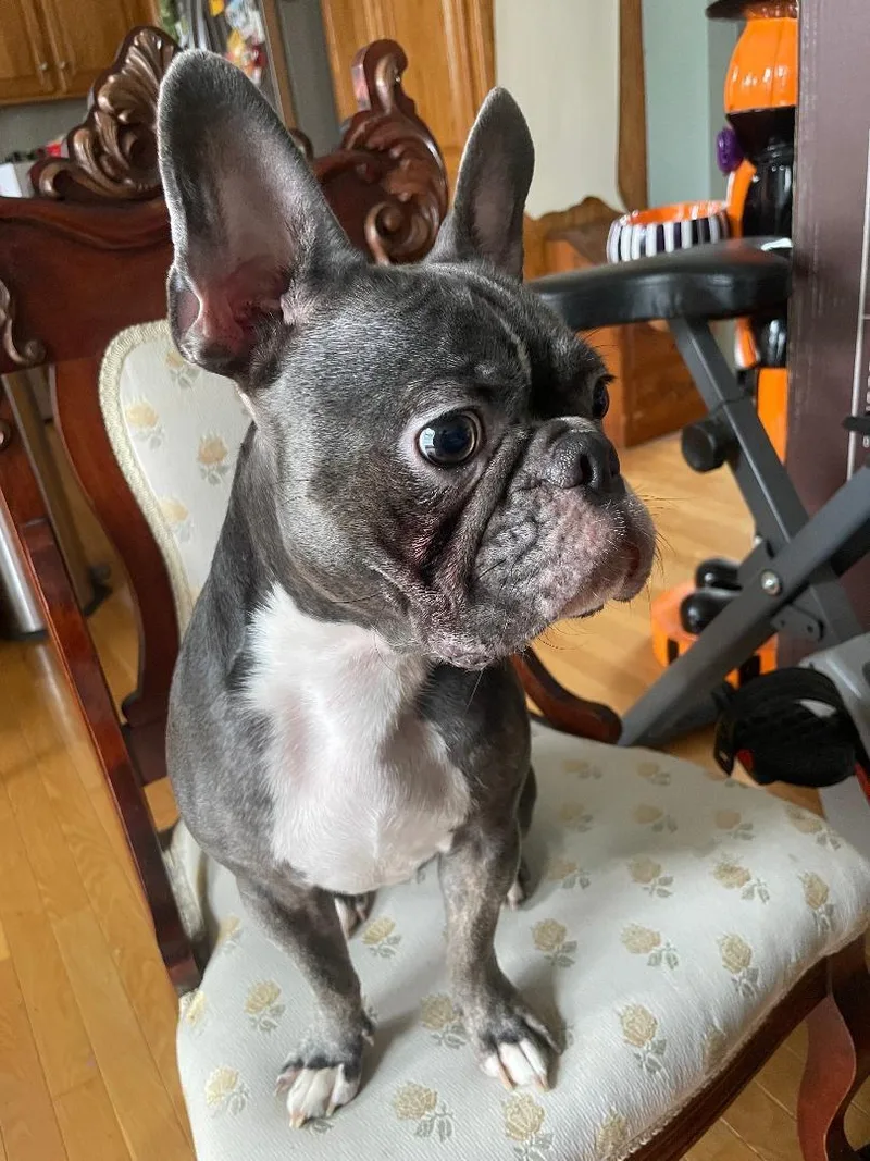 Charlie in MO thumbnail 3