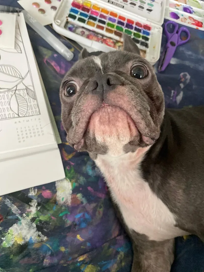 Charlie in MO thumbnail 4