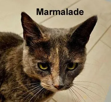 Marmalade Fuhr.