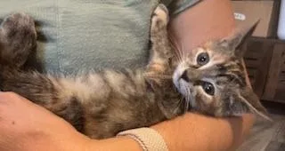 Zinnia  Oaklynn thumbnail 3