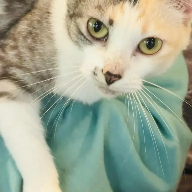 Trudy thumbnail 2