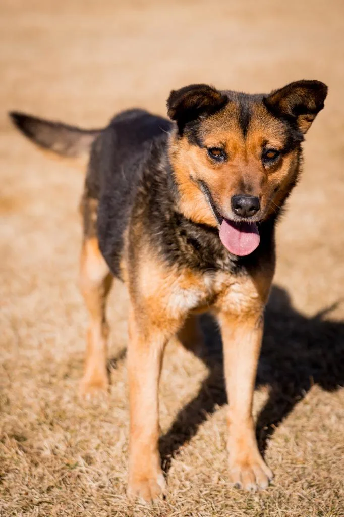 Galadriel thumbnail 2