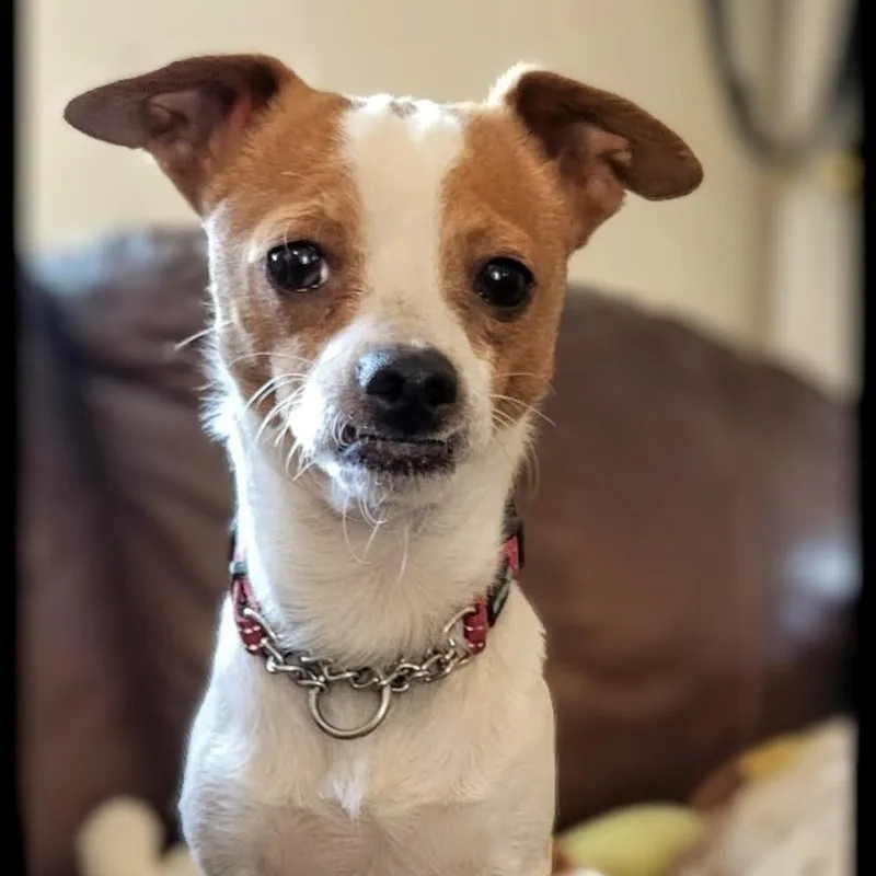 Charlie thumbnail 2