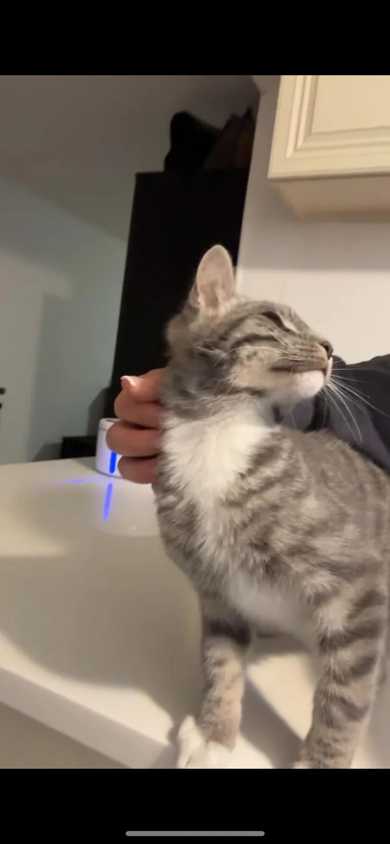 Jackpot thumbnail 2