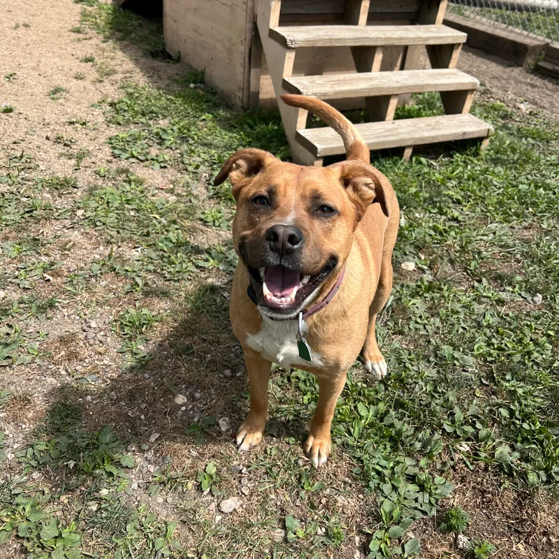 Hannah No Fee thumbnail 3