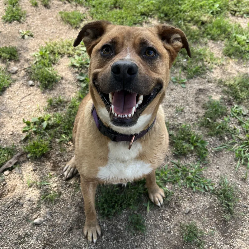 Hannah No Fee thumbnail 4