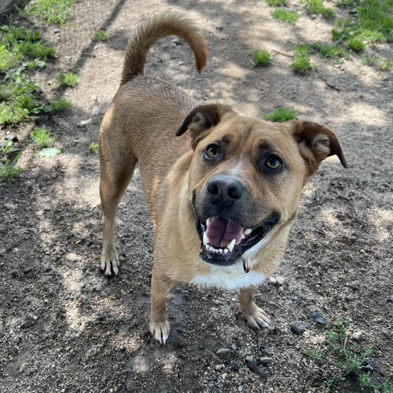 Hannah No Fee thumbnail 5