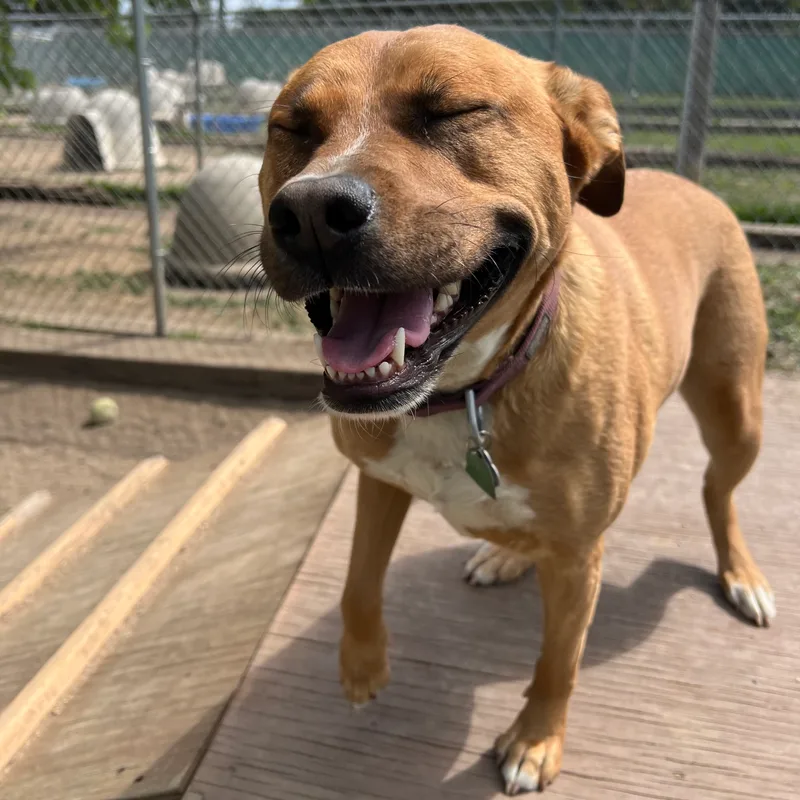 Hannah No Fee thumbnail 6