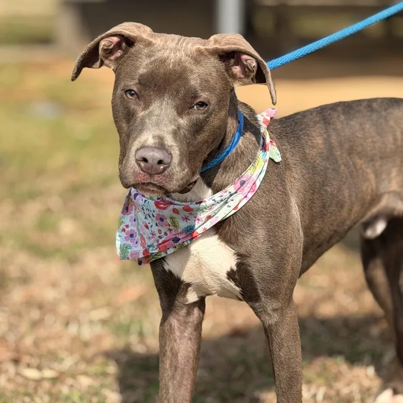 Smithereens thumbnail 2