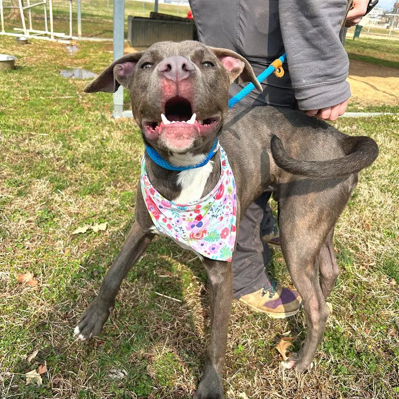 Smithereens thumbnail 3