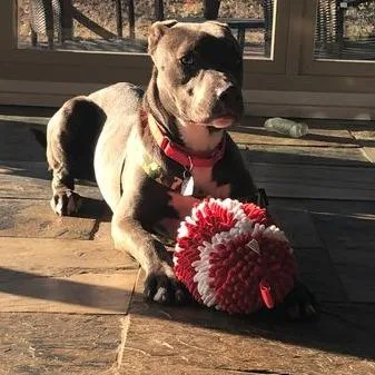 Smithereens thumbnail 5