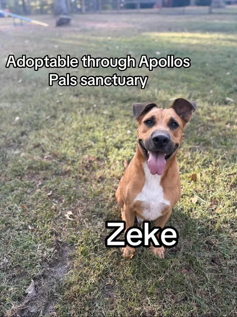 Zeke
