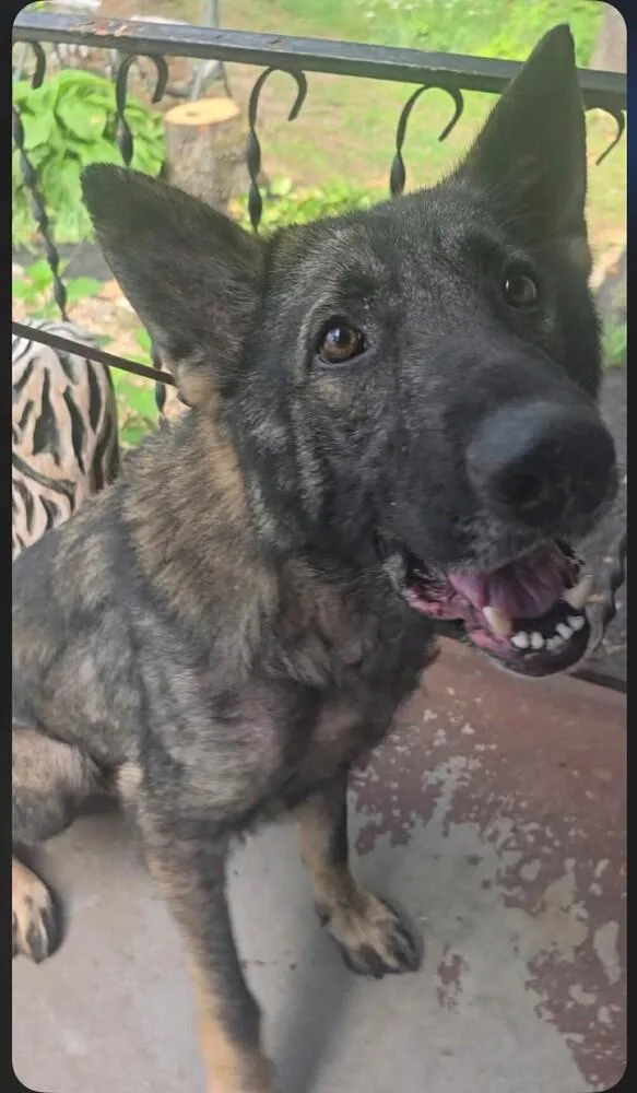 Bodie located in Missouri thumbnail 2