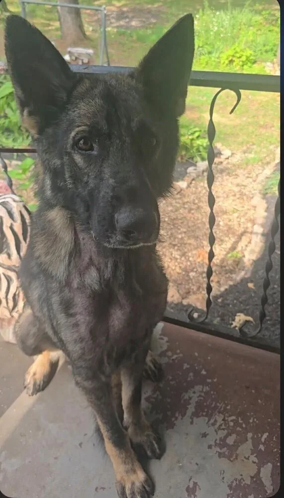 Bodie located in Missouri thumbnail 3