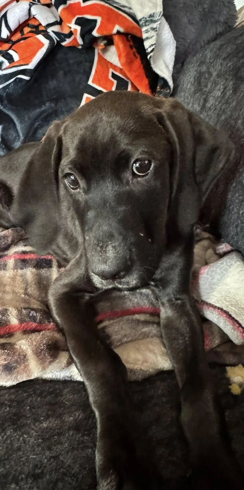 Otis thumbnail 2
