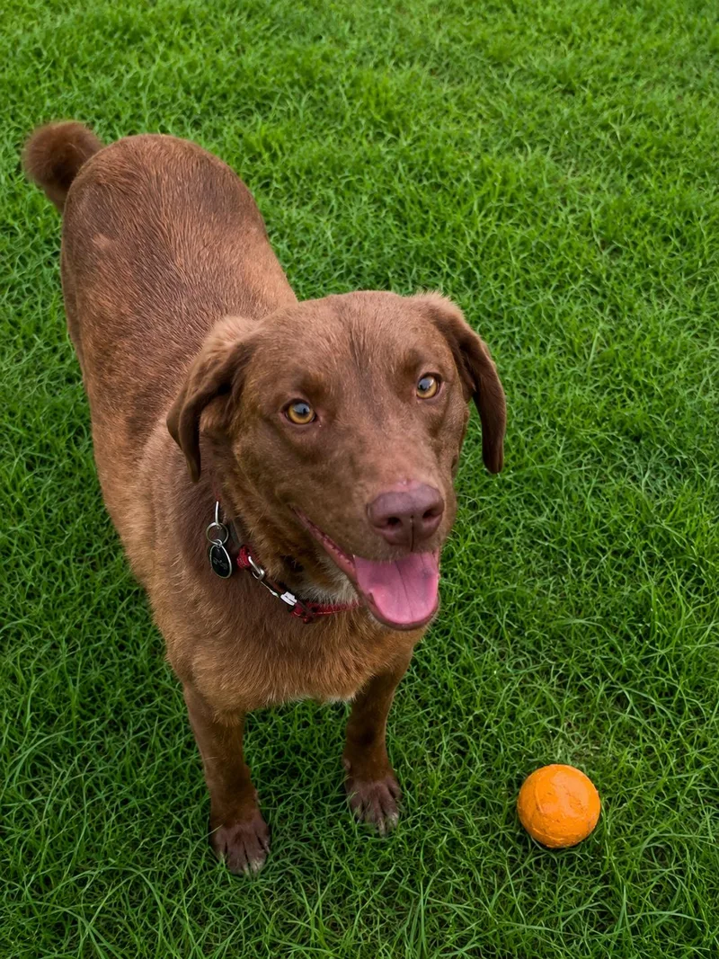 Murphy thumbnail 2