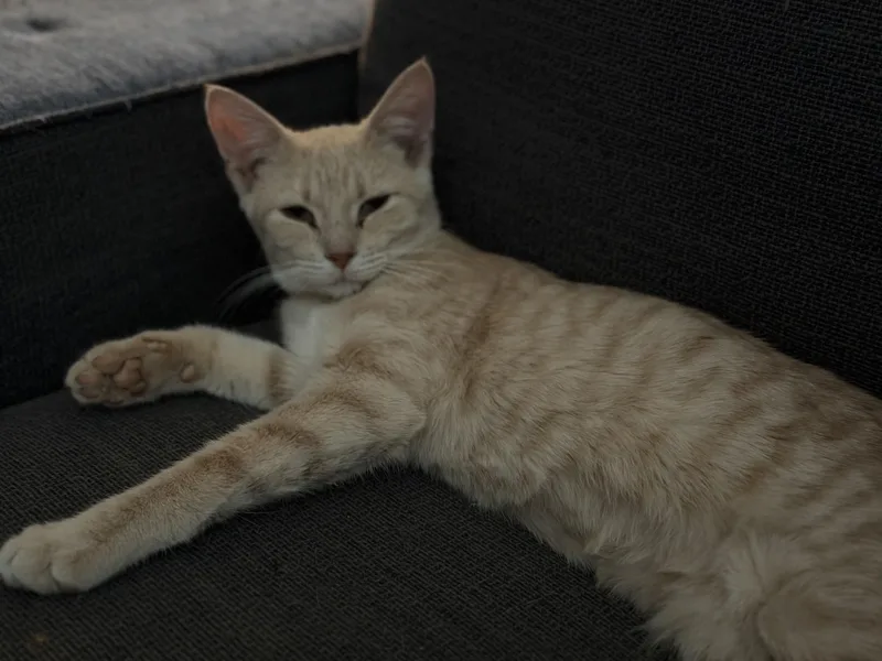 Georgia And Wally thumbnail 2