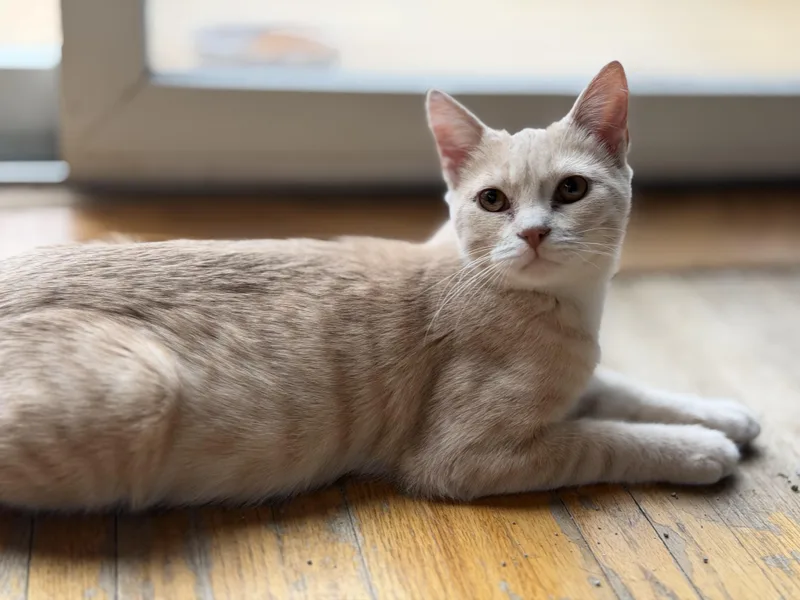 Georgia And Wally thumbnail 4