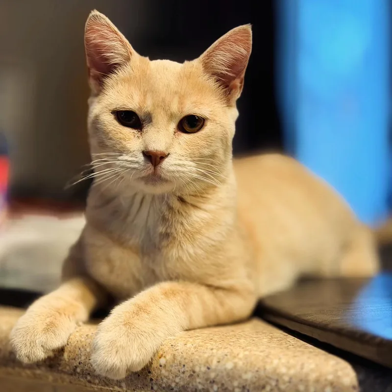 Georgia And Wally thumbnail 5