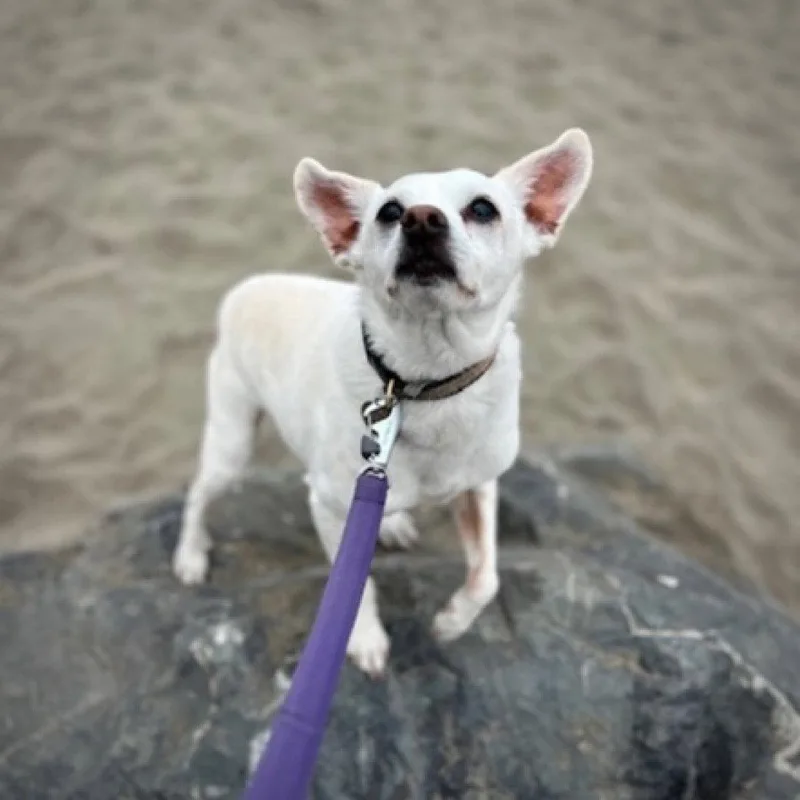 Georgie P thumbnail 3