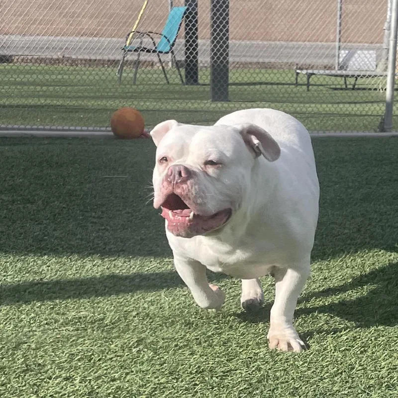 The Missus thumbnail 3