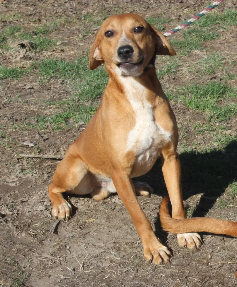 Cody & Zack thumbnail 6