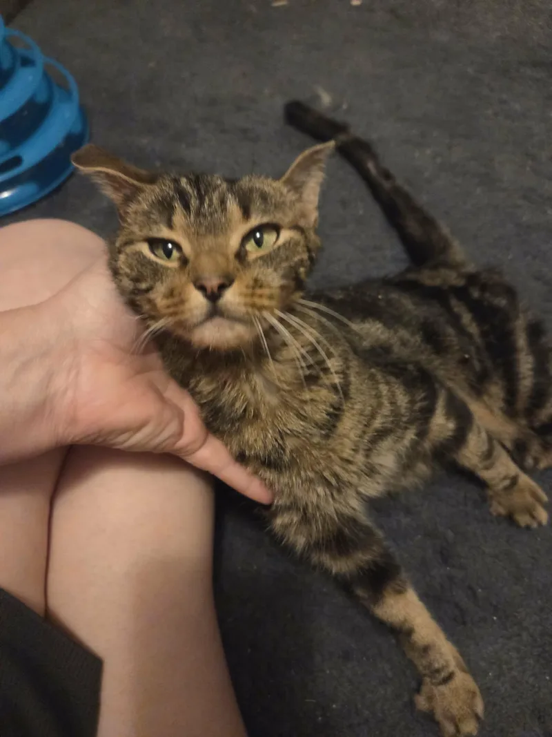 Vivienne thumbnail 2