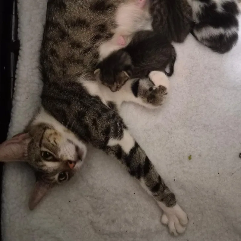 Snacks thumbnail 2
