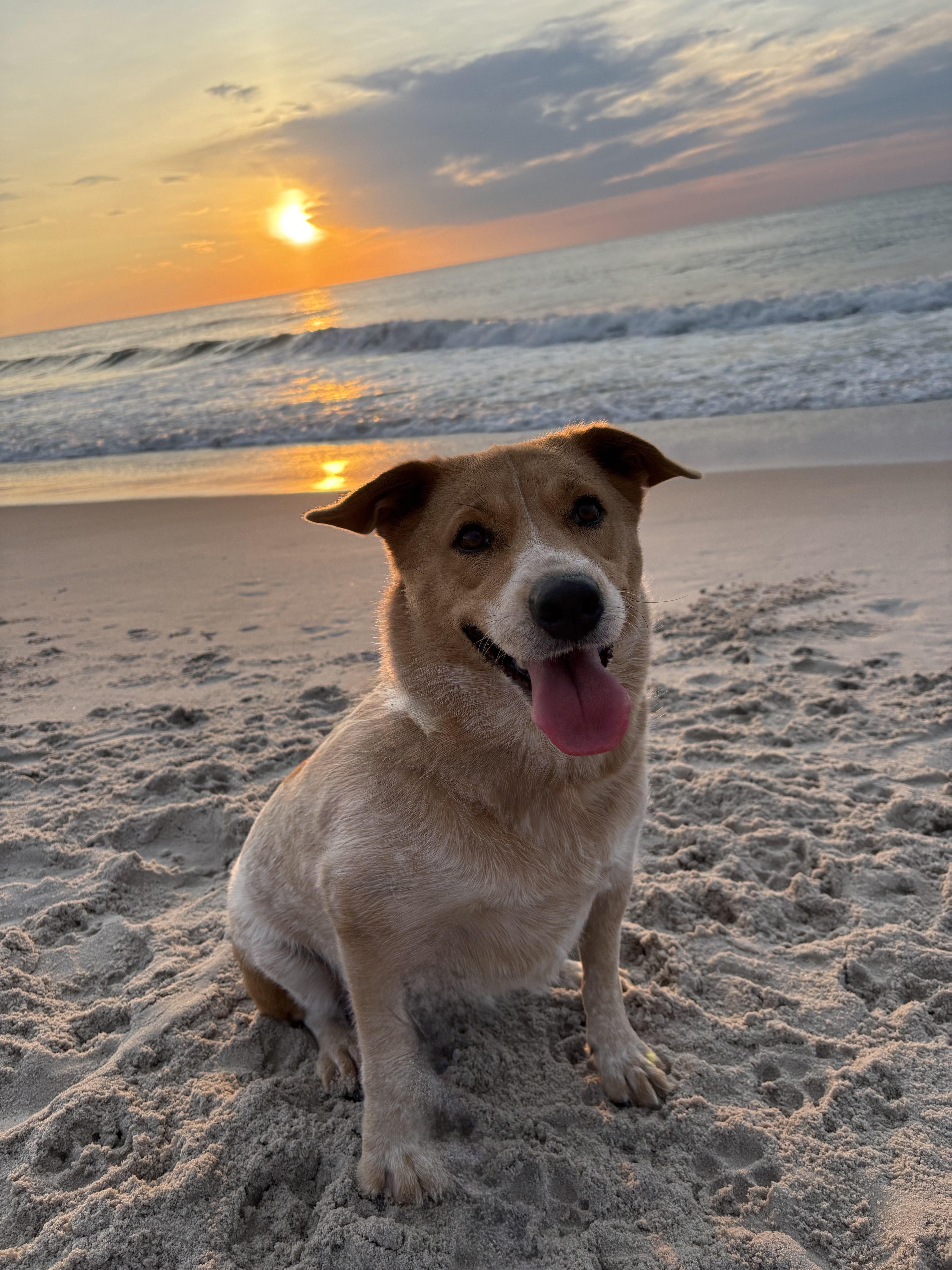 Maile  Nj thumbnail 2