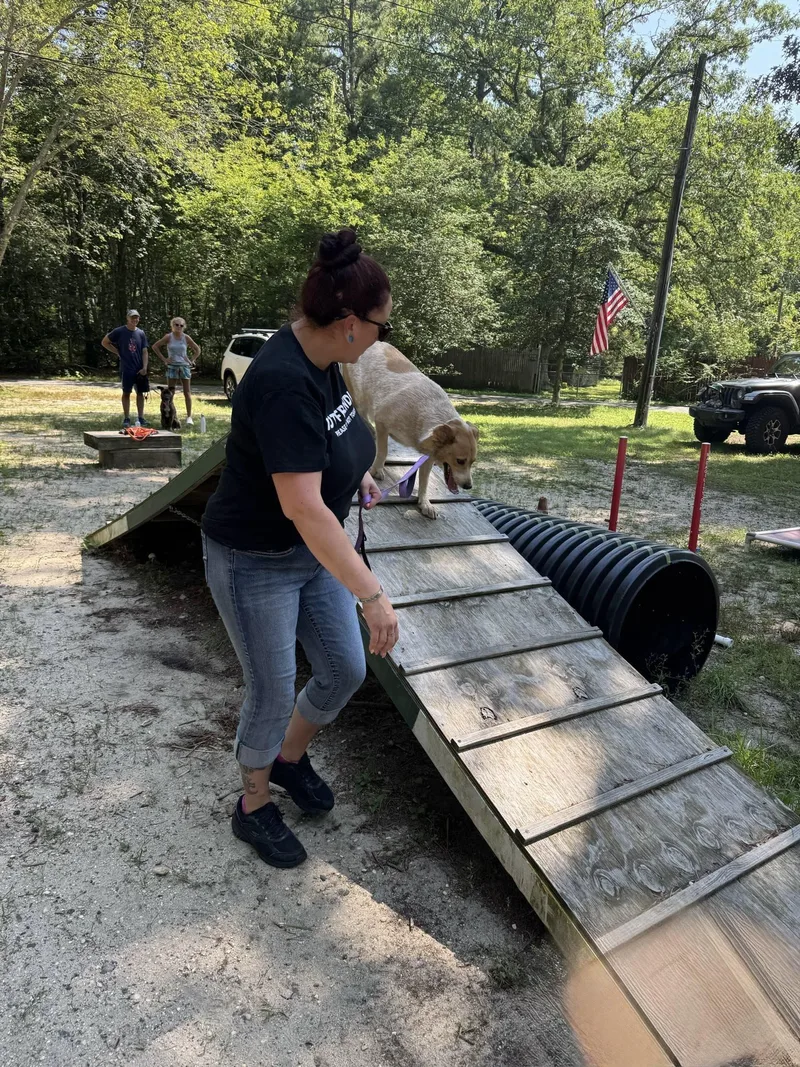 Maile  Nj thumbnail 3