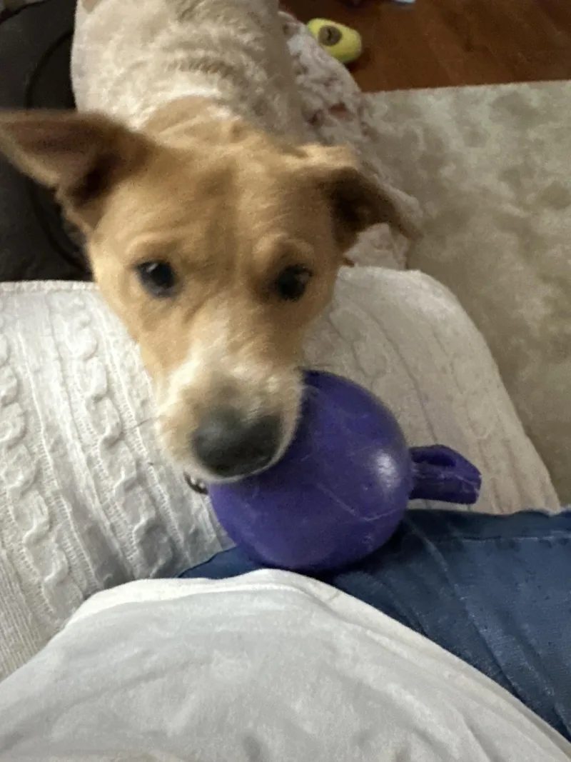 Maile  Nj thumbnail 4