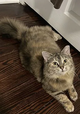 Mimi thumbnail 2
