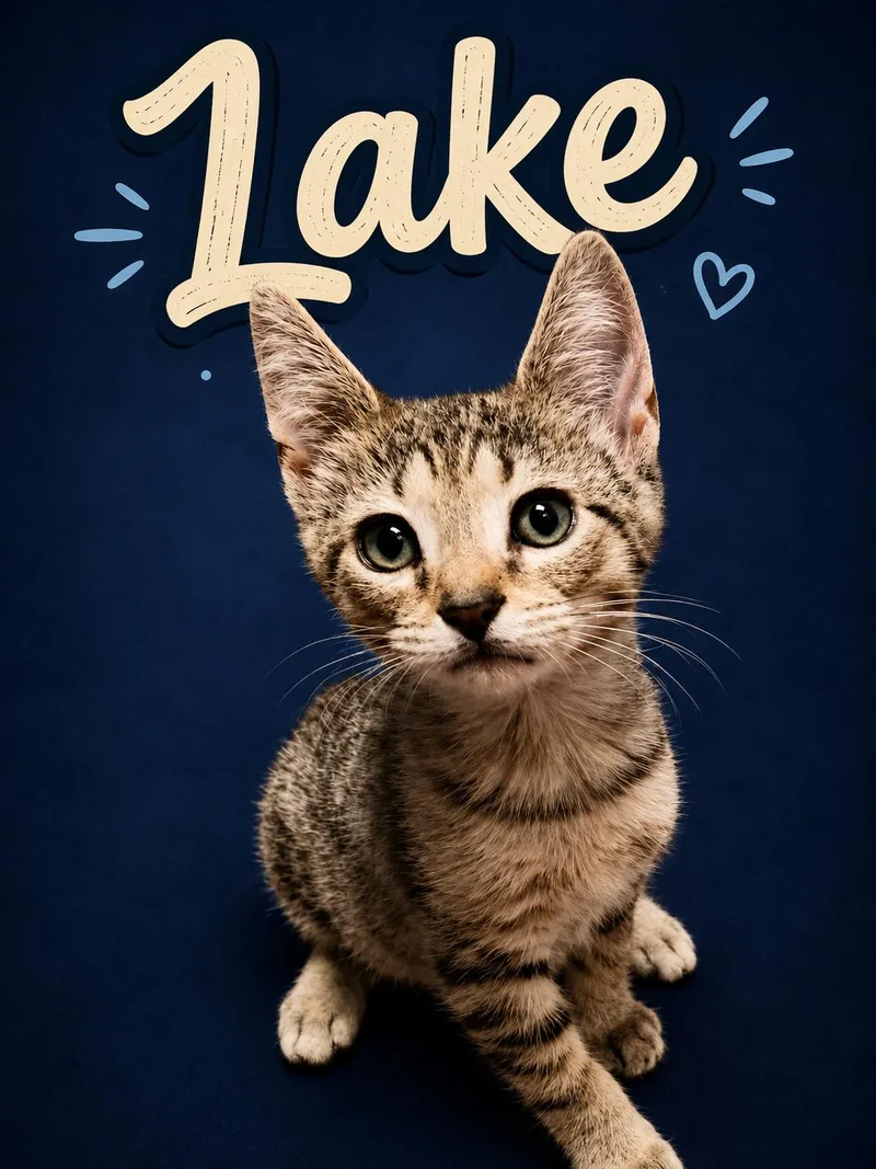 Lake