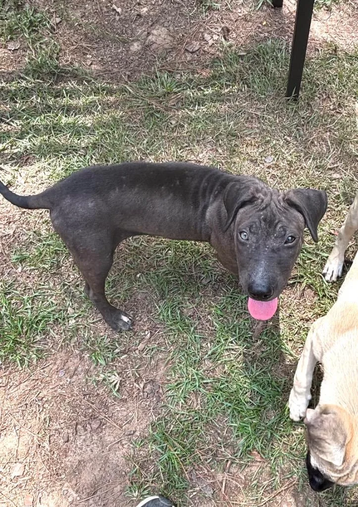 Zak
