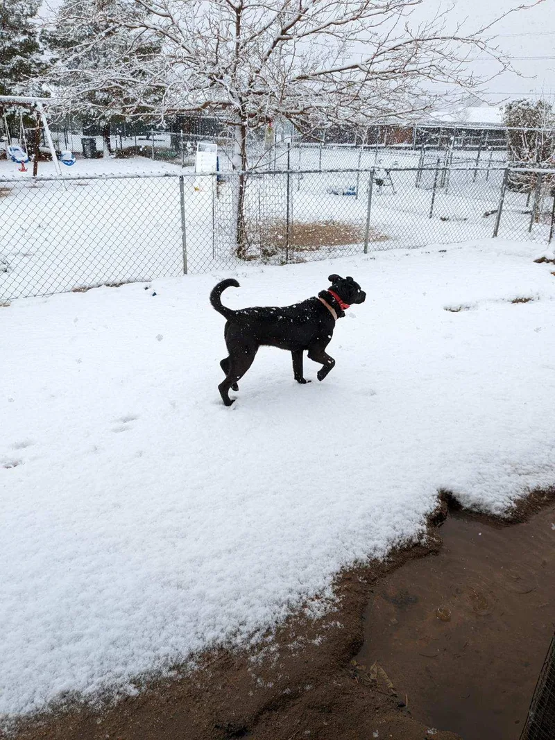 Gotta Have Hope!! thumbnail 2