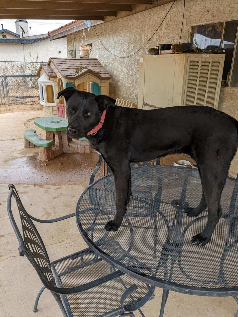 Gotta Have Hope!! thumbnail 4