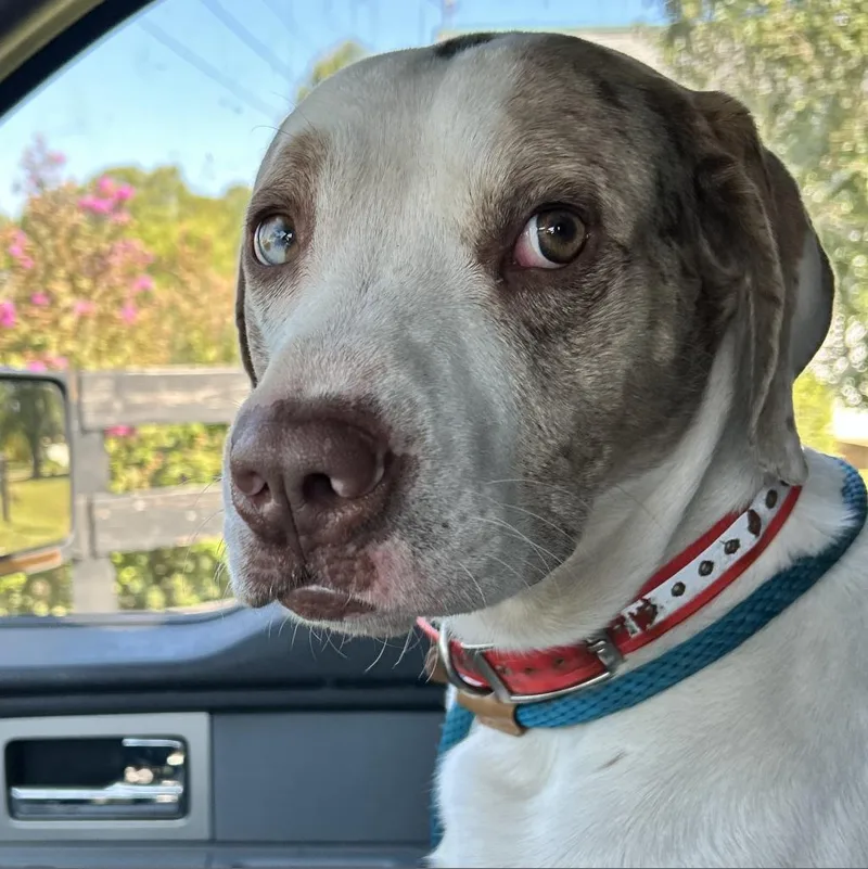 Donnie Wahlberg thumbnail 2