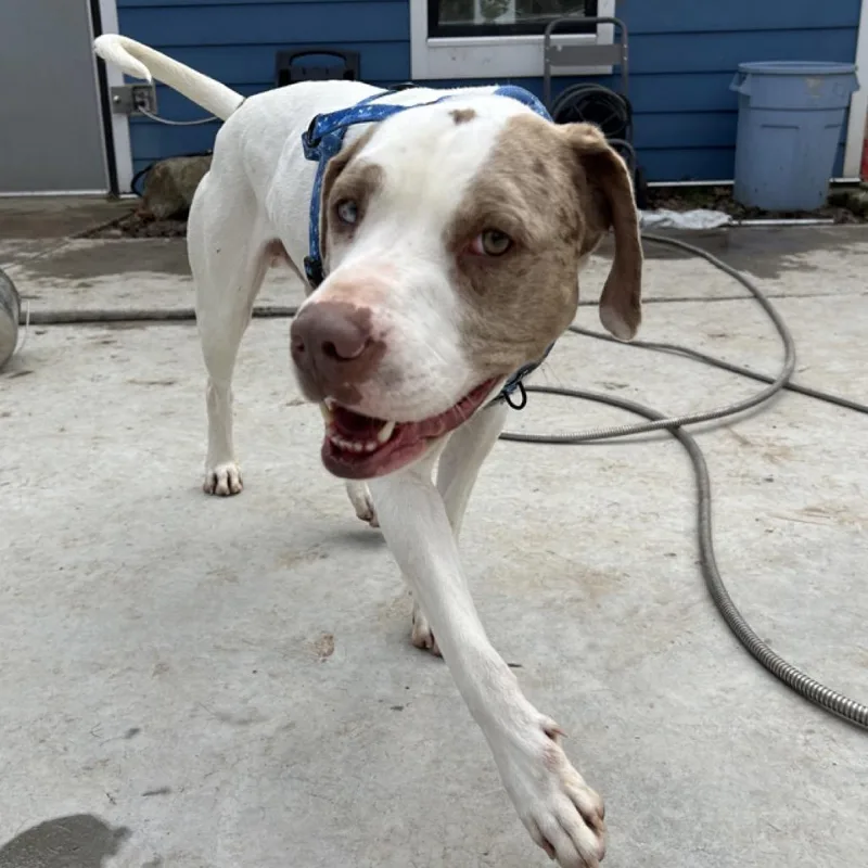 Donnie Wahlberg thumbnail 3