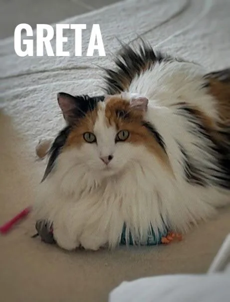 Greta
