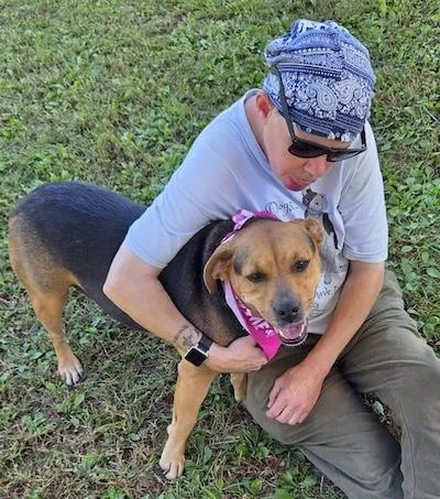 An adult medium-sized female Hound dog named Gypsy for adoption in Palmyra, VA