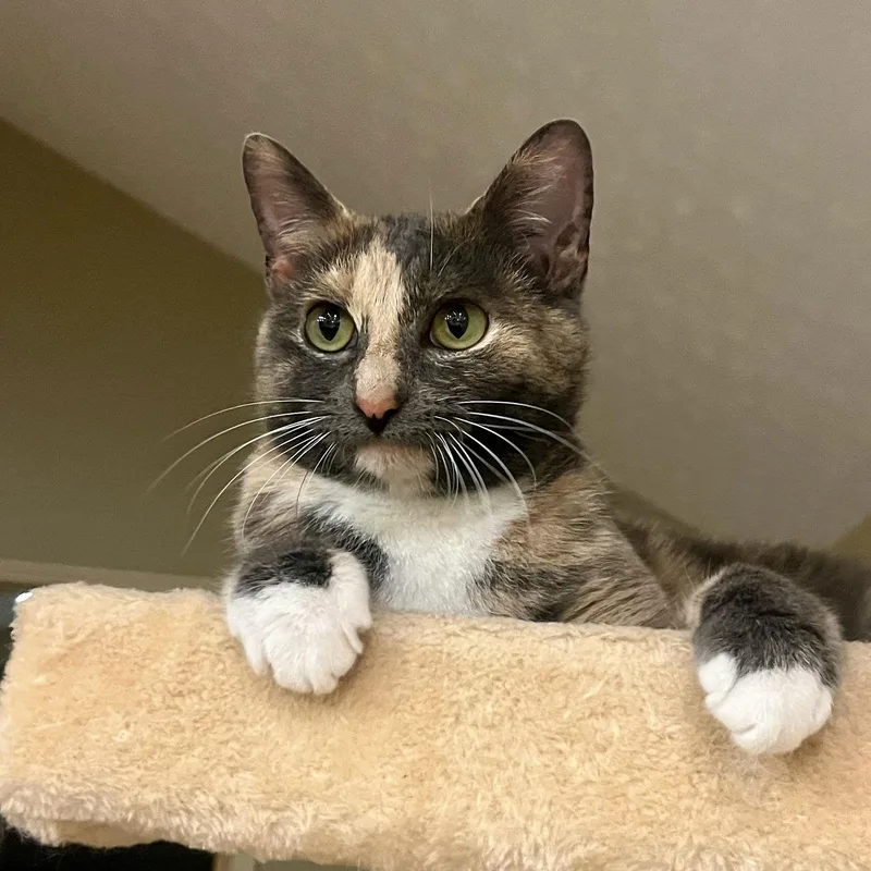 Degrassi thumbnail 3