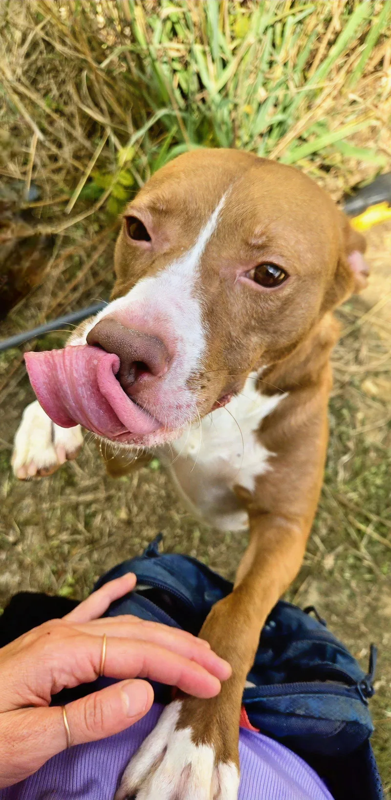 Sunshine thumbnail 2