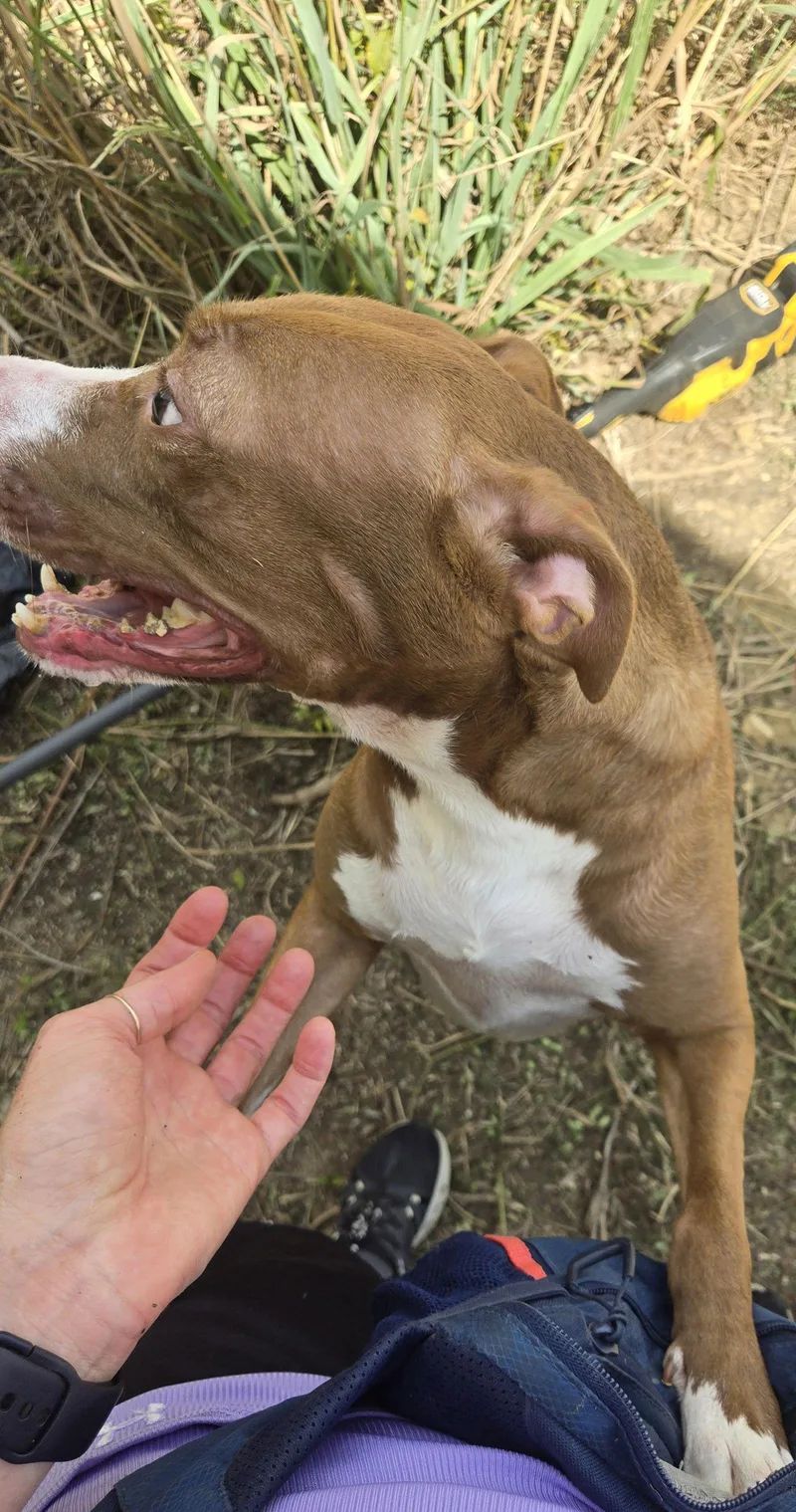 Sunshine thumbnail 3