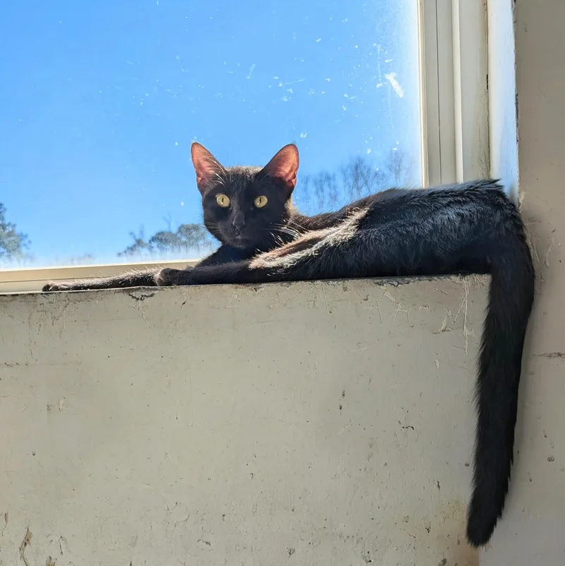 Ruby @ Fat Cat thumbnail 3