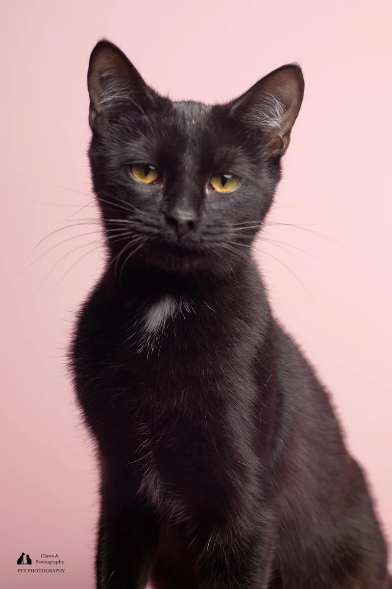 Ruby @ Fat Cat thumbnail 5