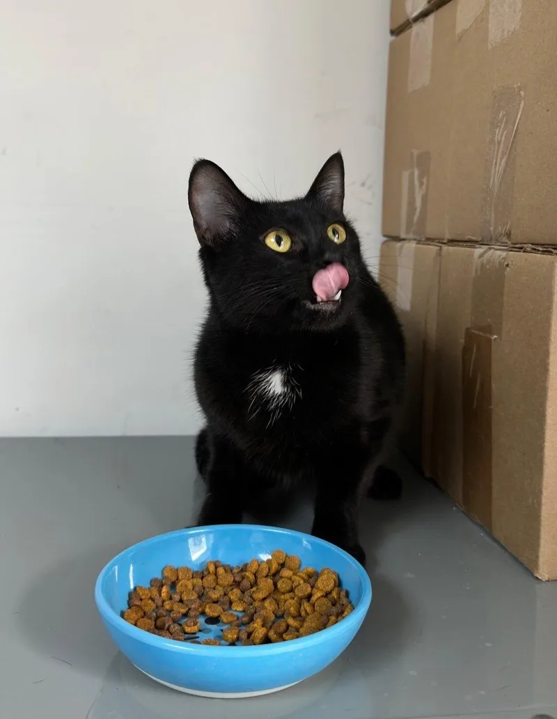 Ruby @ Fat Cat thumbnail 6