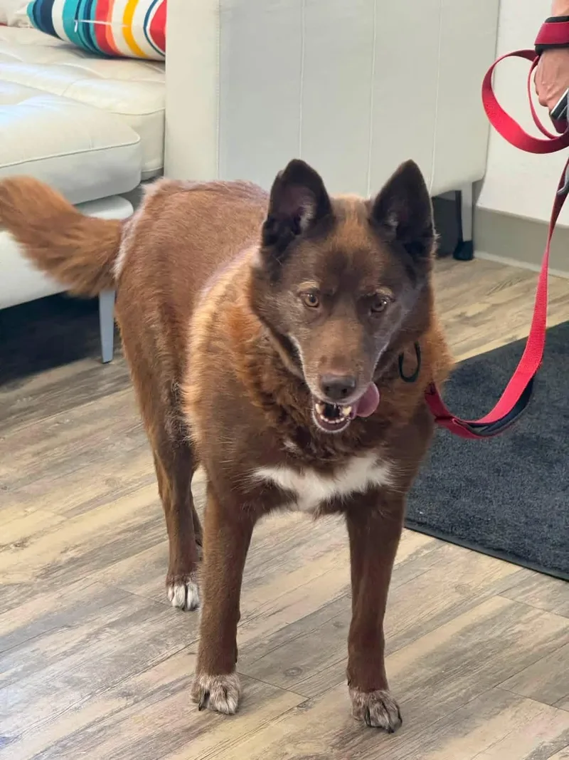 Duke