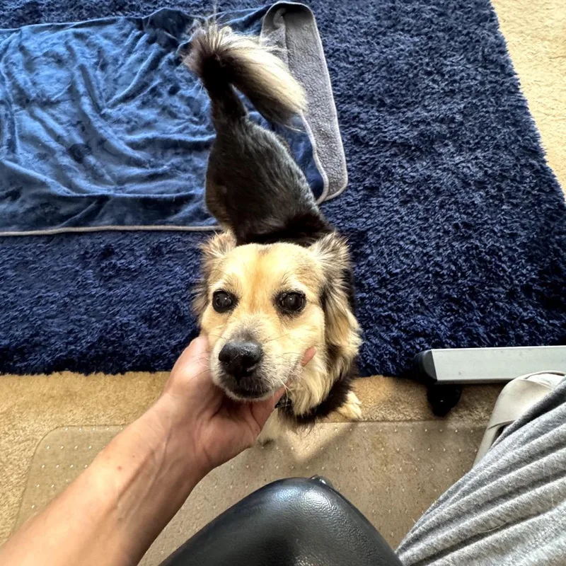 Mugsy thumbnail 2